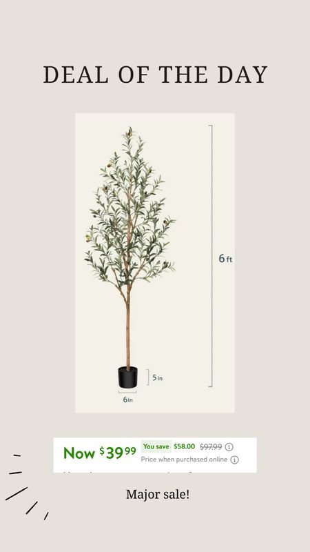 Major deal of the day 
Olive tree on sale
Home decor find faux tree 

#LTKfindsunder50 #LTKhome #LTKsalealert