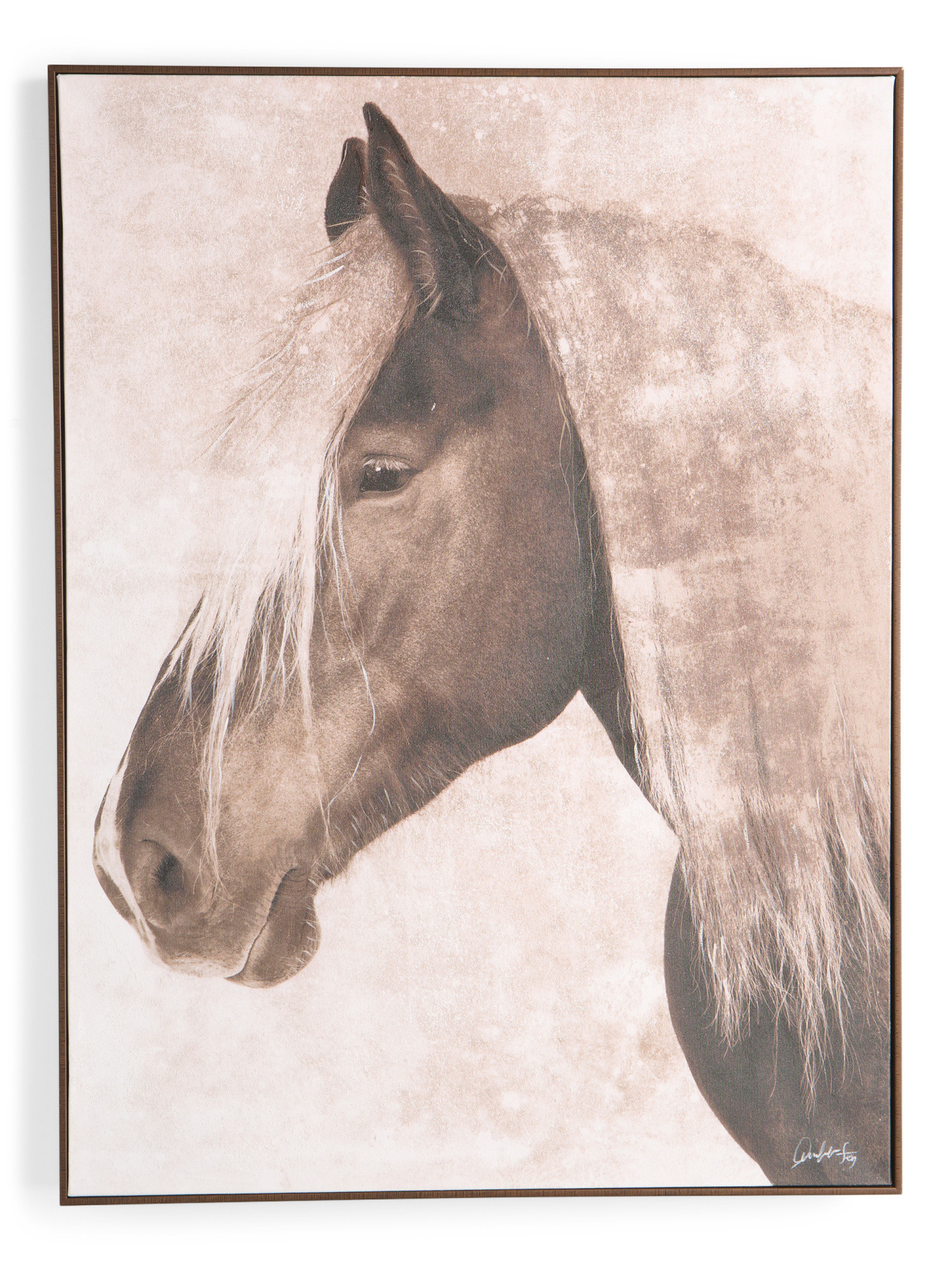 40x30 Theodora Framed Wall Art | TJ Maxx