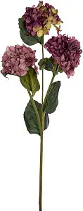 Vickerman 33" Mauve Artificial Hydrangea Spray with Three Flower Heads, 2 per Bag. | Amazon (US)