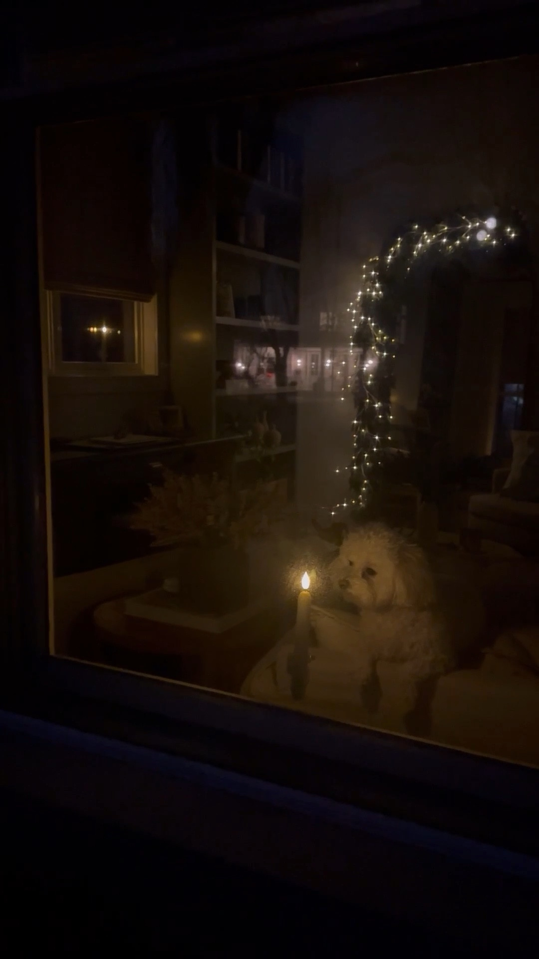 Amazon Christmas decor to snag now. These sensor candles look so realistic are easy to suction onto your windows, safe for kids and pets and create a perfect holiday glow!

#LTKHome #LTKFindsUnder50 #LTKHoliday