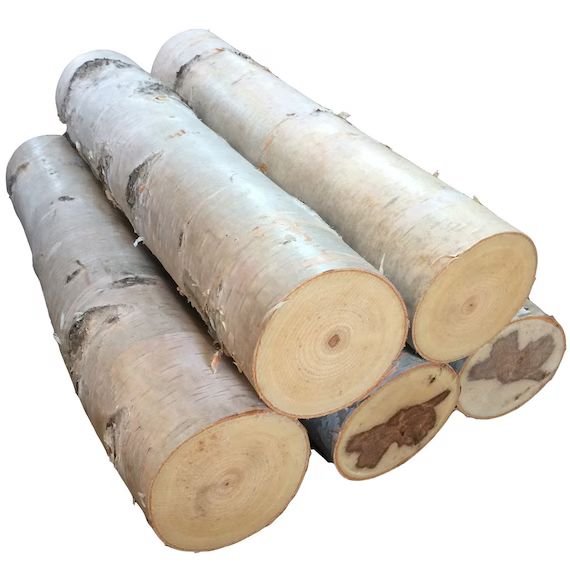 Large White Birch Fireplace Log Set of 5 Free Shipping | Etsy (US)