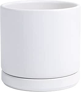 D'vine Dev Ceramic Planter Pot with Drainage Hole and Saucer, Indoor Cylinder Round Planter Pot, ... | Amazon (US)