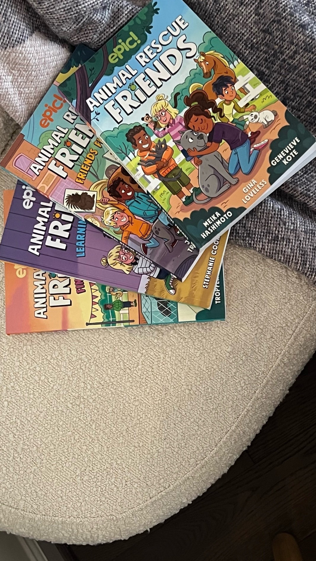 Thai series was a favorite in our house. If you have a 5 or 6 year old reader - this one is a fun series. I’m looking for more books in the meantime.

#LTKmomlife #LTKKids