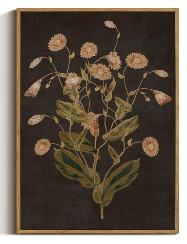 WALLZK Vintage Framed Wall Art Botanical Canvas Prints Painting Dark Moody Floral Wall Decor Retro Wildflower Pictures Artwork for Walls Living Room Bedroom Bathroom 16"x24" | Amazon (US)