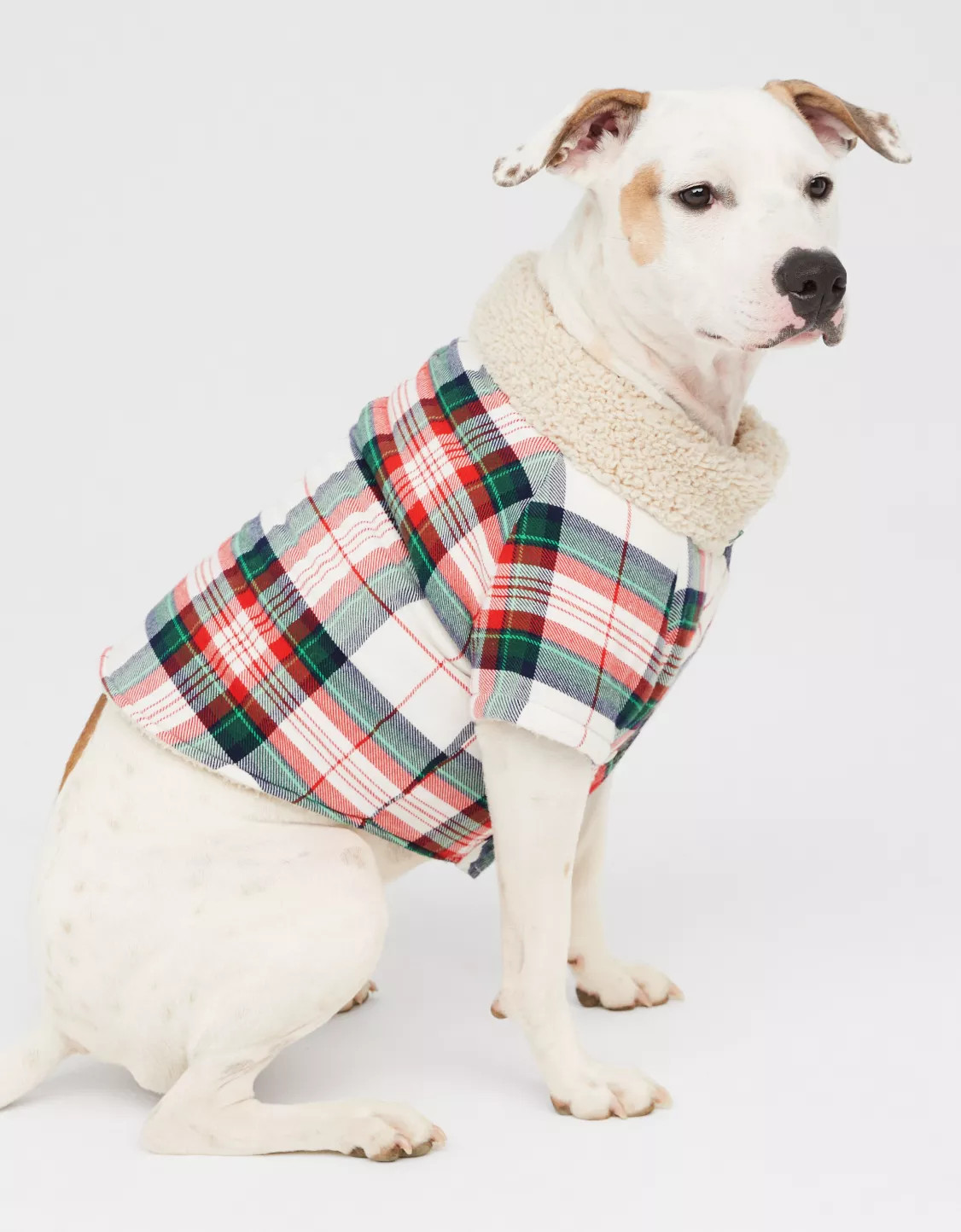 OFFLEASH By Aerie Flannel Dog Shirt | Aerie