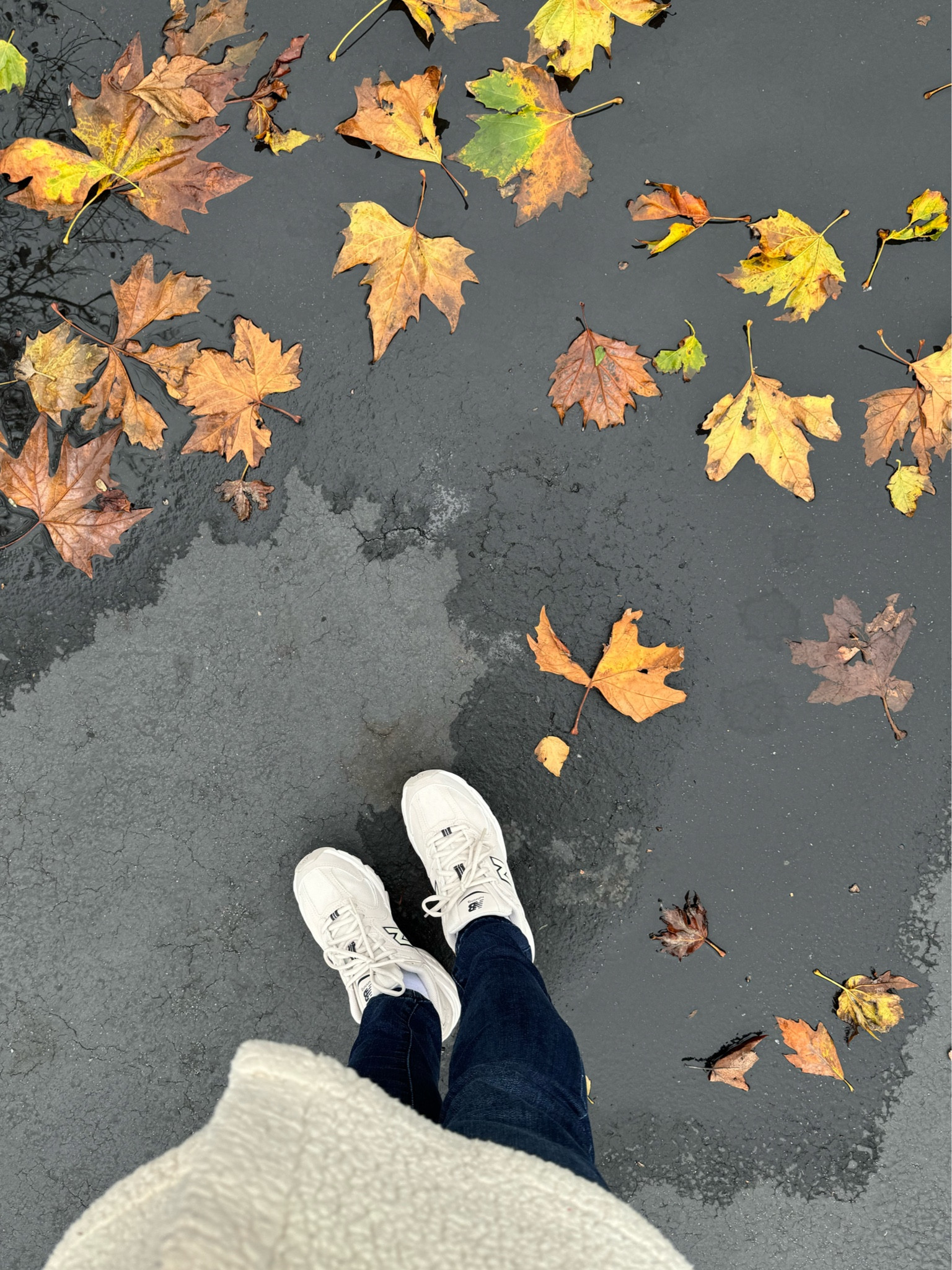 New Balance 530 🤍

#LTKGiftGuide #LTKSeasonal #LTKFindsUnder100