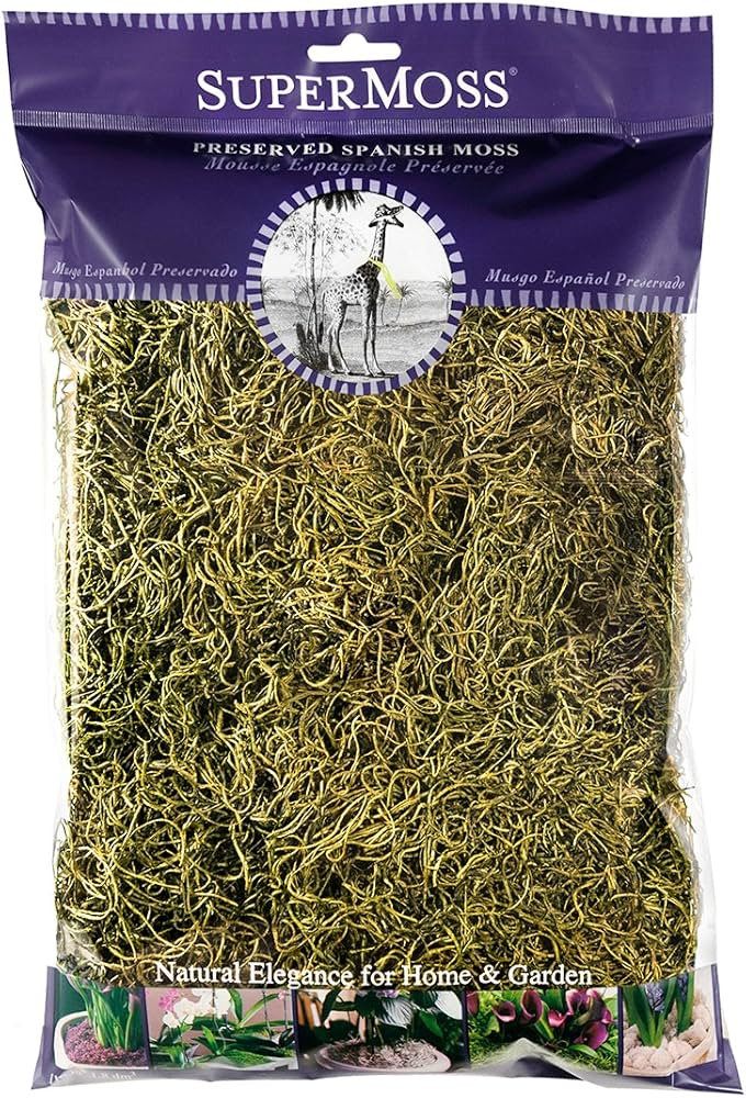 SuperMoss (26967) Spanish Moss Preserved, Basil, 8oz (200 cubic inch) | Amazon (US)