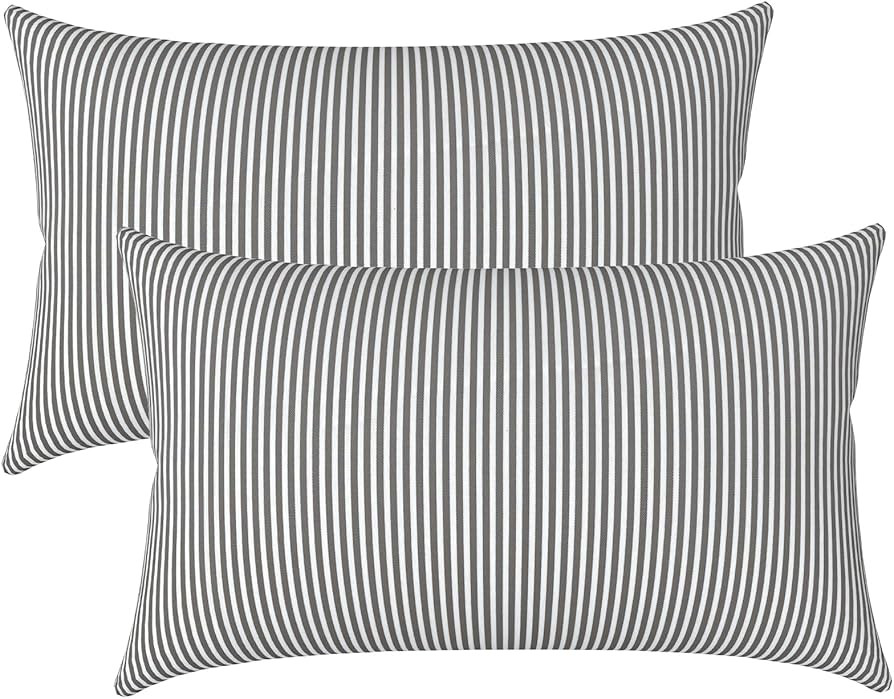 LVTXIII 12×20 Inch Outdoor Lumbar Pillows, Pack of 2 Water Repellent Lumbar Pillow with Inserts,... | Amazon (US)