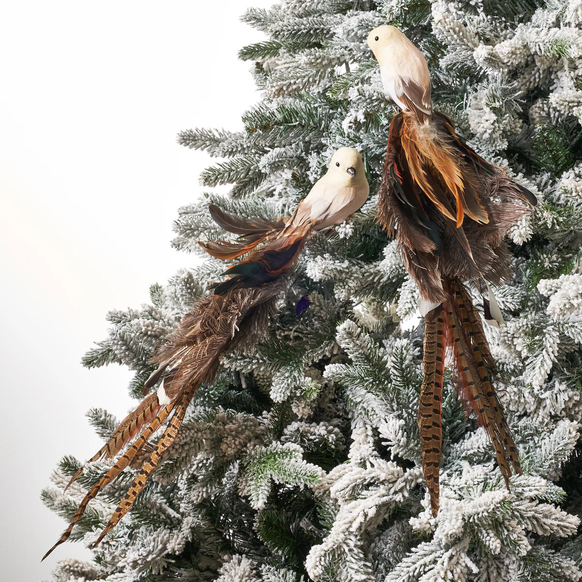 Large Cream, Brown & Grey Ostrich Feather Clip-On Bird Ornament - Set of 2 Left and Right | Darby Creek Trading