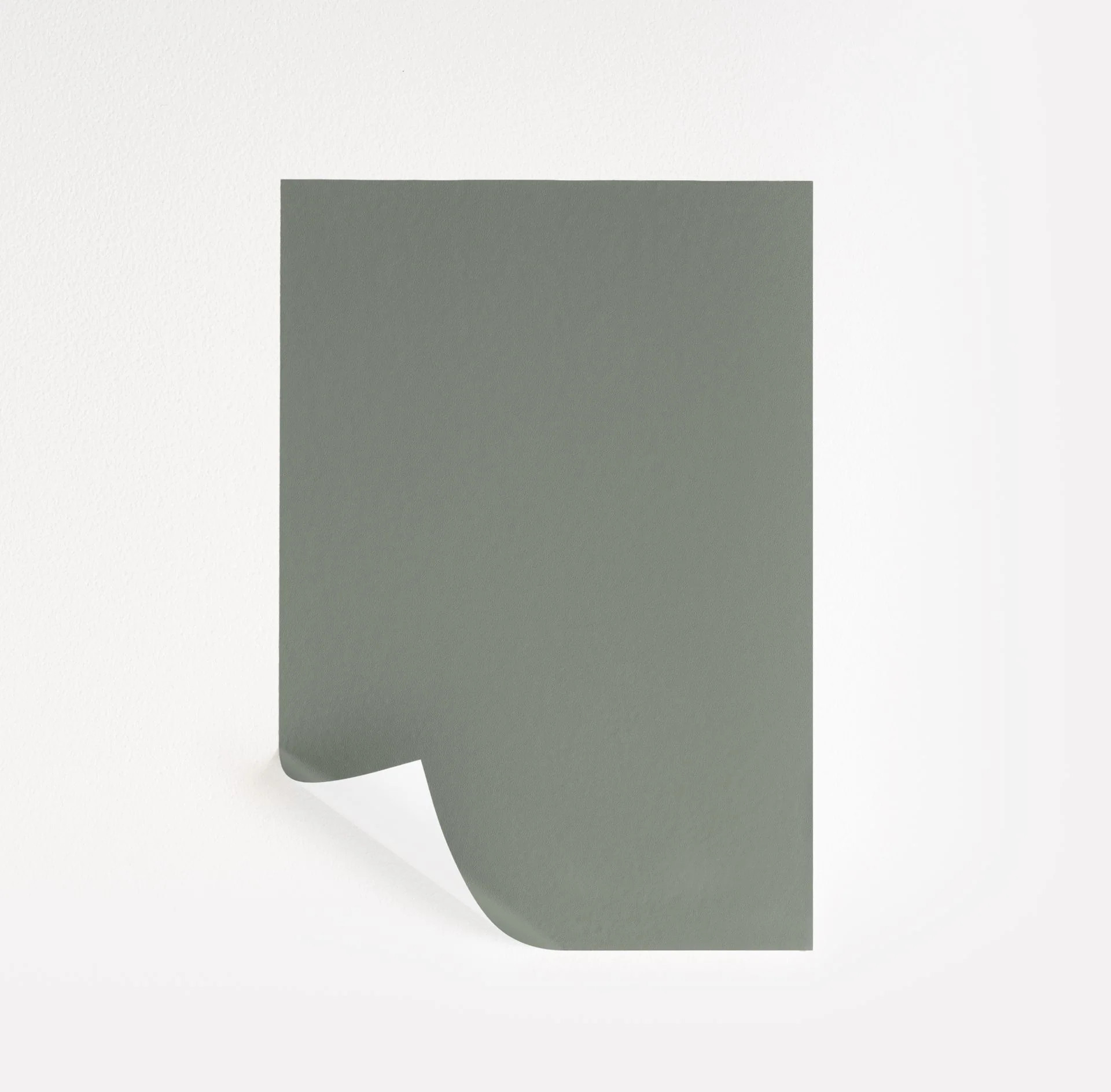 Carolina Gull  Paint Sample | Samplize
