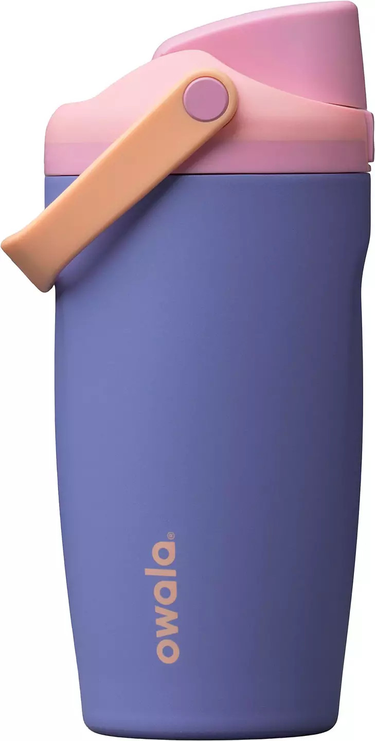 Owala 18 oz. FreeSip Sway Stainless Steel Water Bottle | DICK'S Sporting Goods