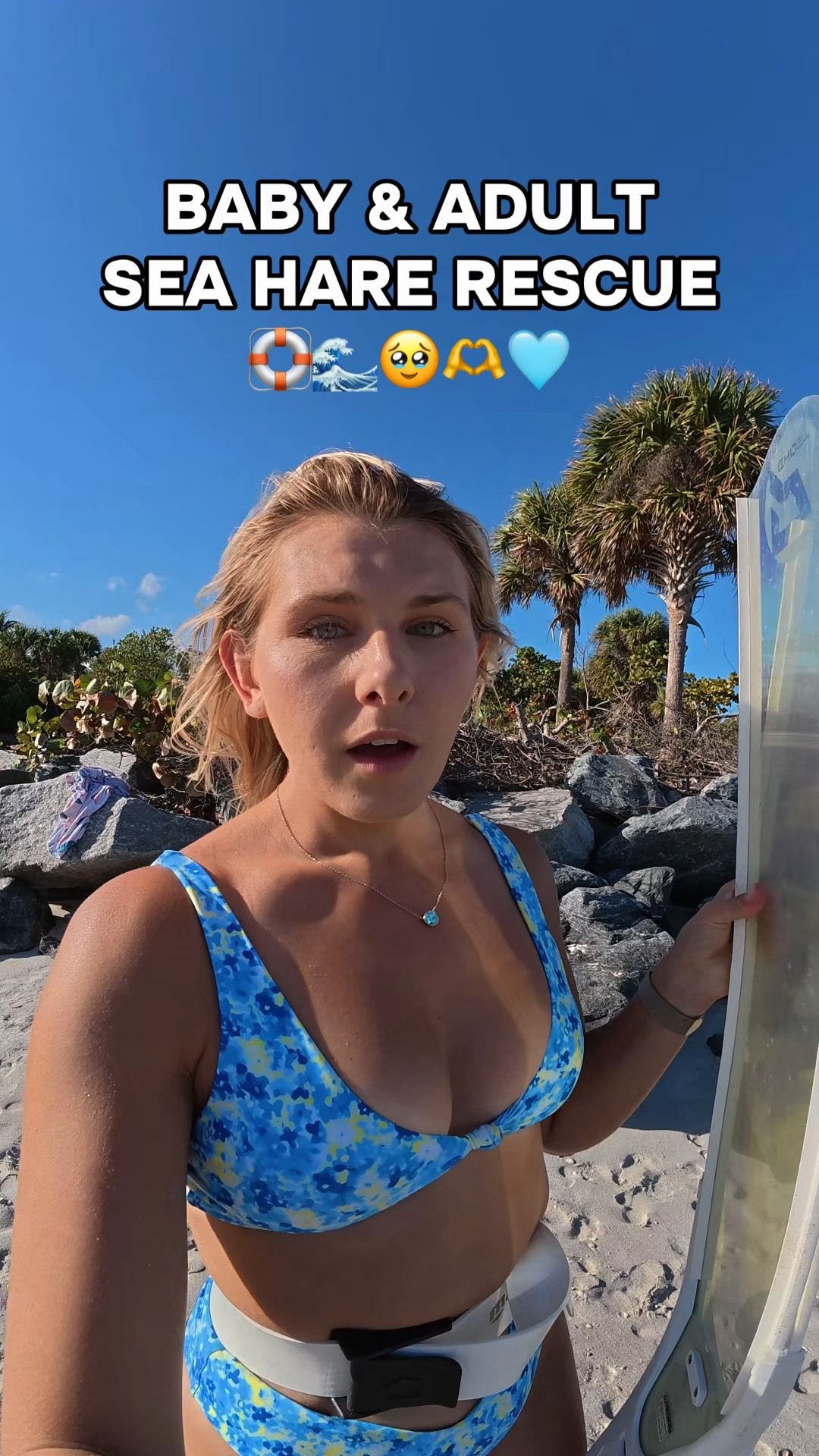Another sea hare rescue!! I get to be out here helping animals all thanks to YOU guys and your support 🥹🫶🩵🛟🌊 

In a way, EVERY one of you helped in this rescue for allowing me to be out here spreading awareness & saving animals, even if they’re just sea slugs 🥹🩵

#seahare #animalrescue #wildlife #ocean #florida

#LTKActive #LTKSwim #LTKTravel