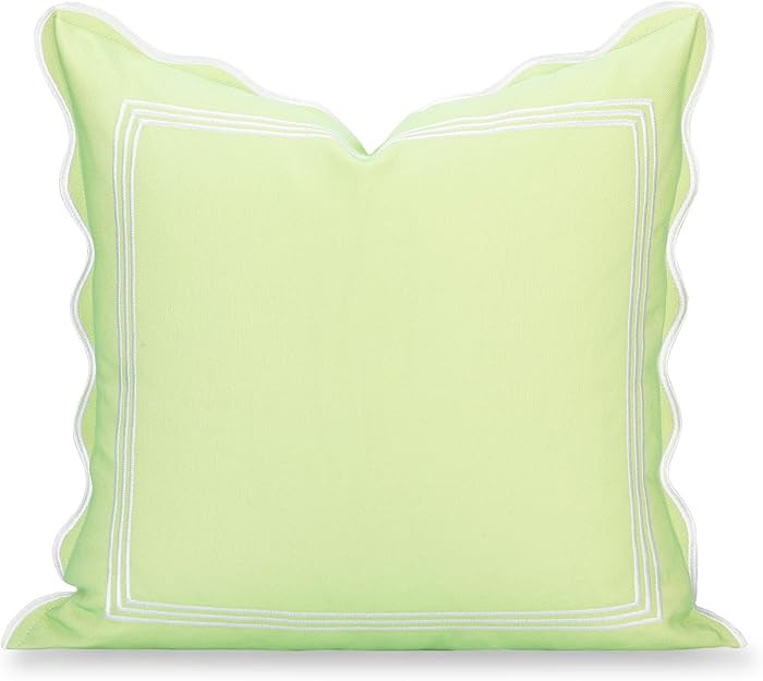 Hofdeco Premium Grandmillennial Patio Indoor Outdoor Throw Pillow Cover Only, 20"x20" Water Repel... | Amazon (US)