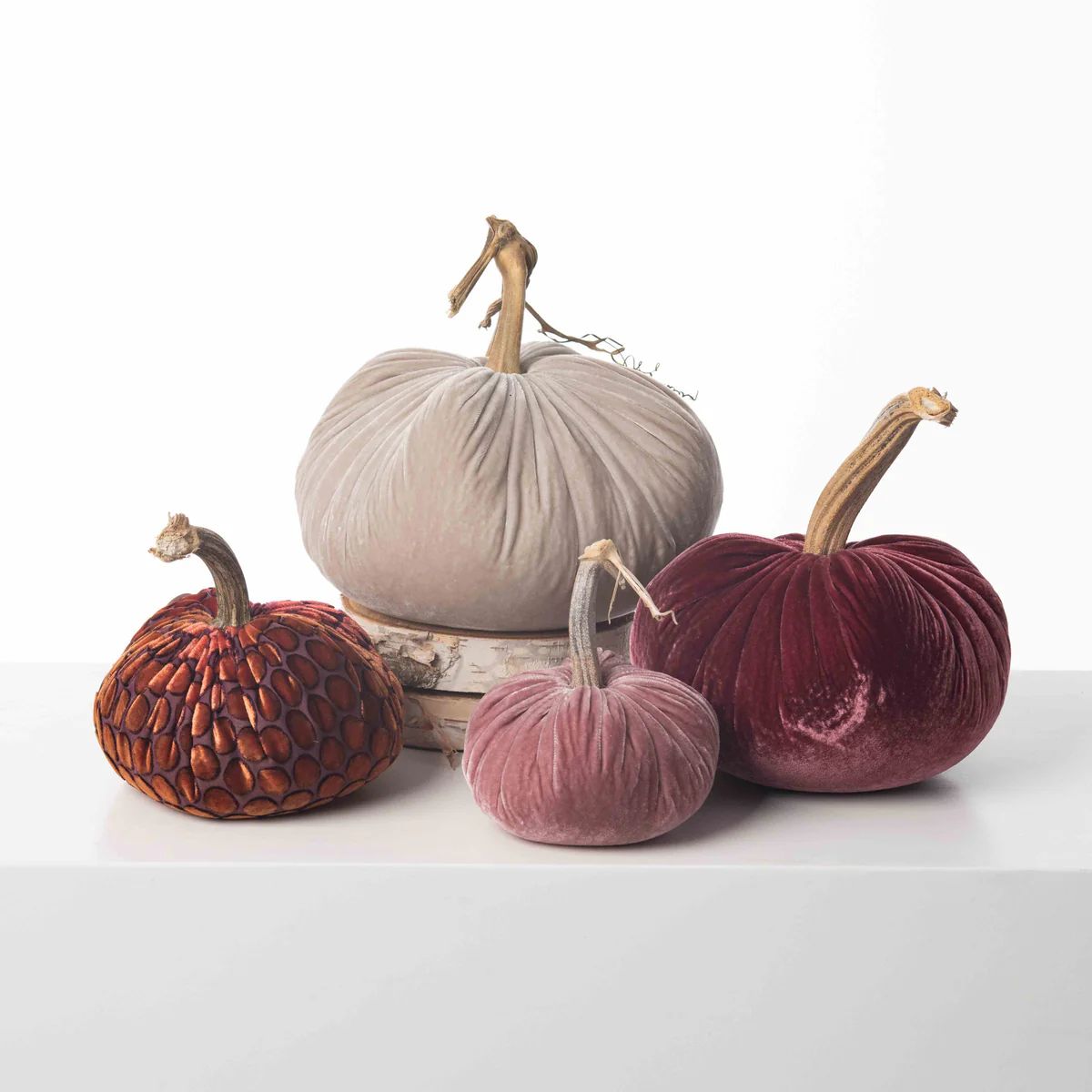 Autumn Evenings Grand Harvest Set - Plush Pumpkin Luxury Velvet Real Stem Pumpkin Fall Décor | Darby Creek Trading