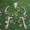 JOYIN Life Size Groundbreaker Skeleton Stakes for Halloween Yard Decorations | Amazon (US)