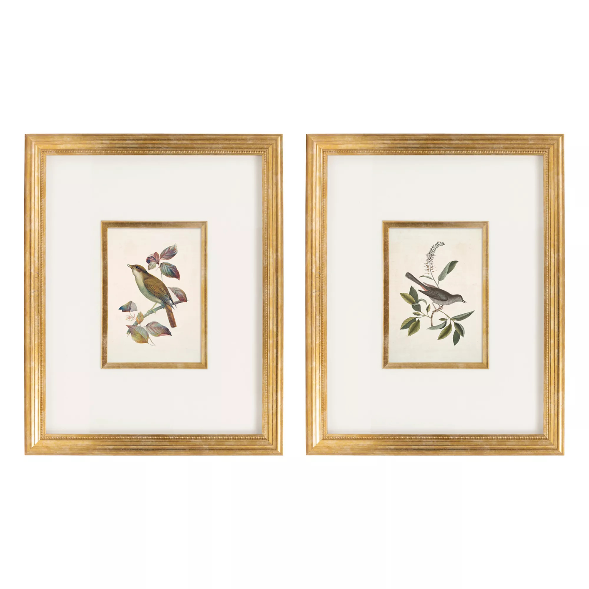 Belle Maison 2-pc. Bird Wall Art Under Glass Set | Kohl's