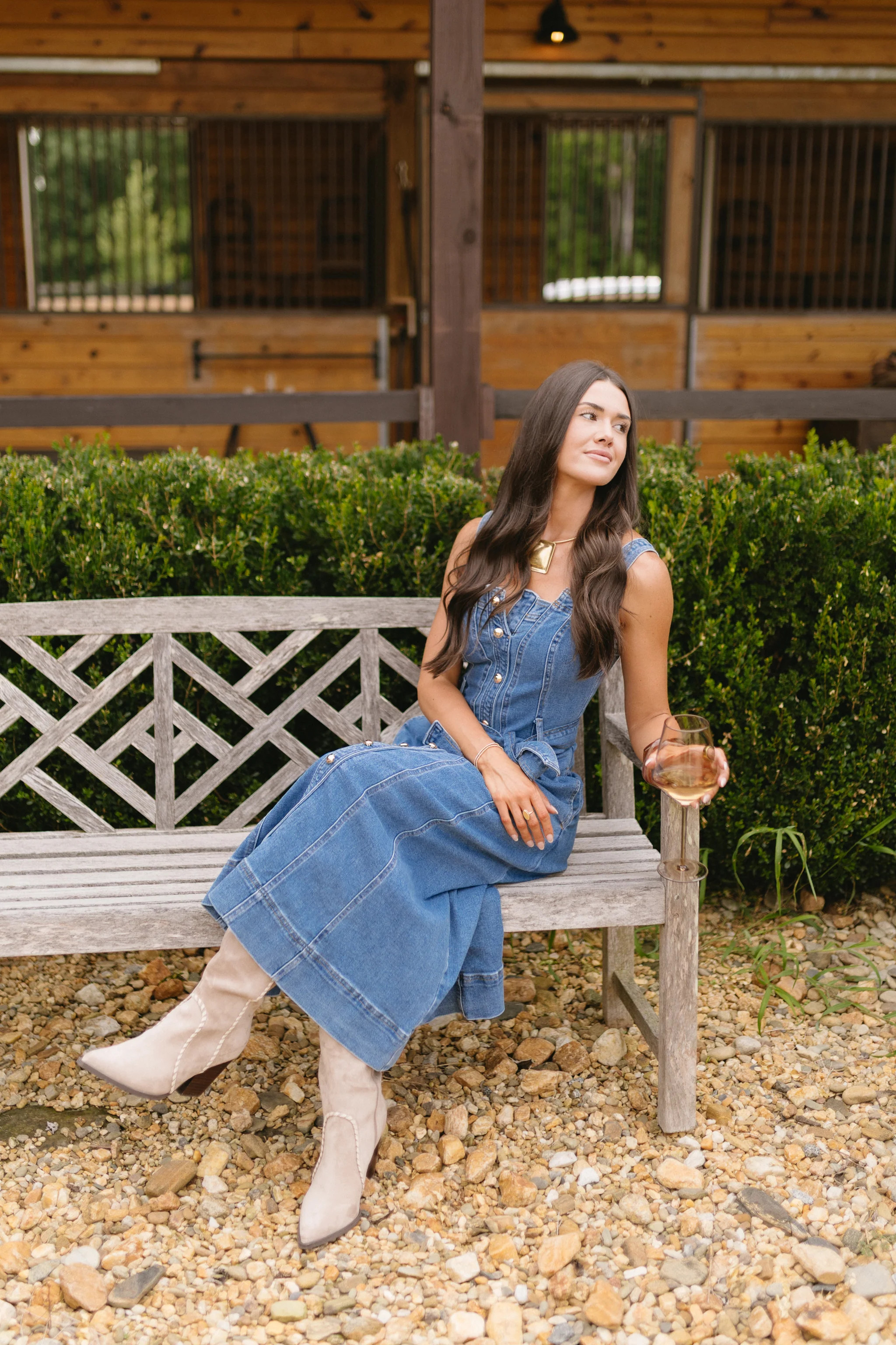 Allyn Dress | Vestique