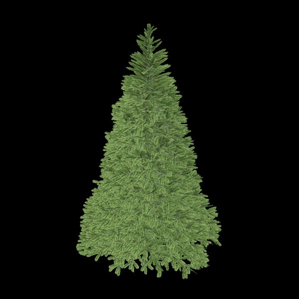 7.5' Scarlet Fir Artificial Christmas Tree Unlit | King of Christmas