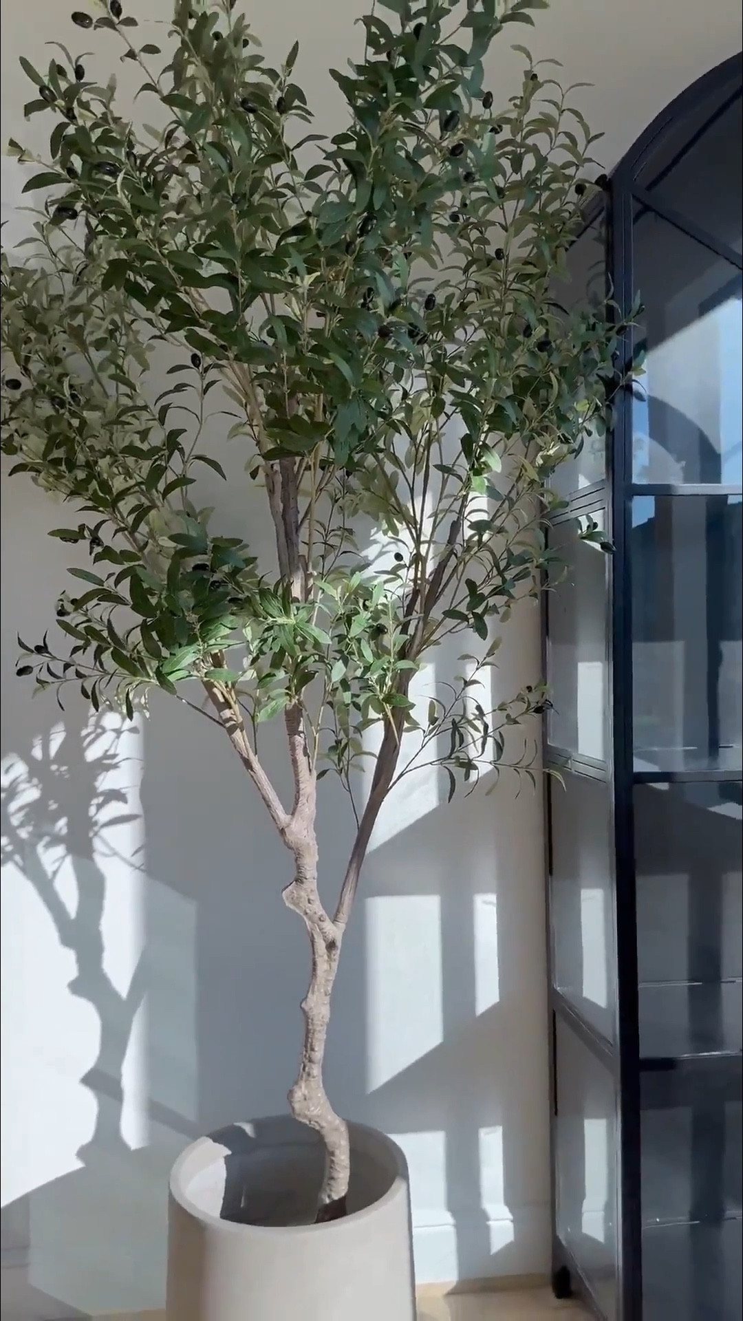 This stunning olive tree comes in two sizes and is perfect for adding greenery to any space! The planter comes in 3 sizes and comes in various colors! 

Shop below! 🫶🏽🤍🫶🏽

#LTKSaleAlert #LTKStyleTip #LTKHome