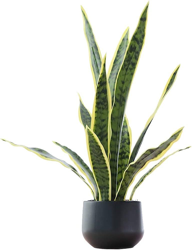 Bird Fiy Artificial Snake Plant 22.5" Faux Agave Fake Sansevieria Artificial Potted Plants for In... | Amazon (US)