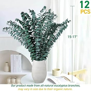 12 Pcs Preserved Dried Eucalyptus Stems, 17" Natural Branches for Shower Hanging, Real Dried Flow... | Amazon (US)