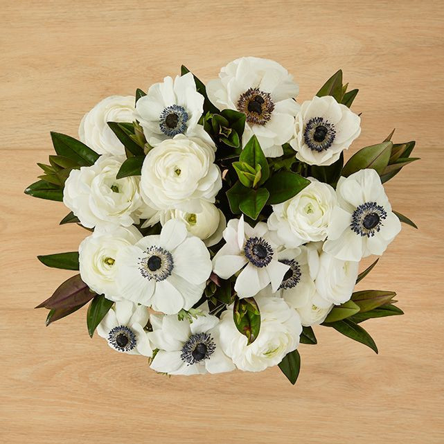 In the Clouds | The Bouqs