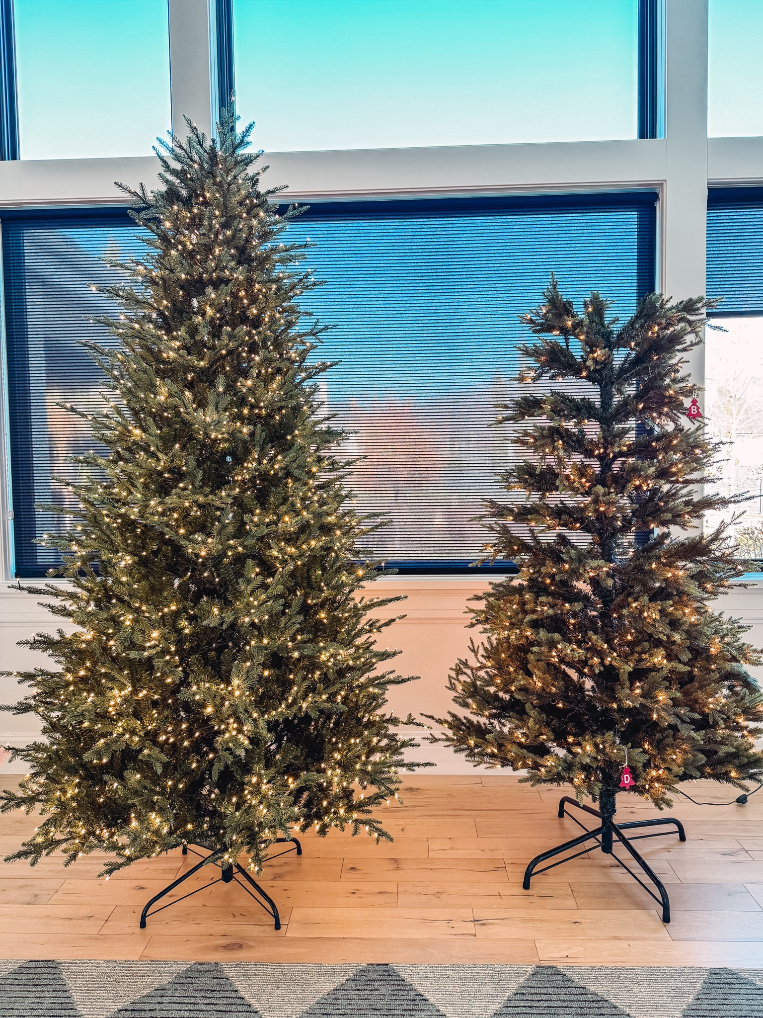 Viral faux Christmas trees compared right out of the box .
Home Depot (left ) vs amazon (right)

Home Depot wins : light pole technology, twinkle lights, light color options , no fluffing, and comes in a flocked version. 

Amazon tree , no light pole technology- you have to plug in each section, no color changing options or twinkle lights. Less lights, lots of fluffing needed. Almost the same price. 


#LTKhome #LTKHoliday