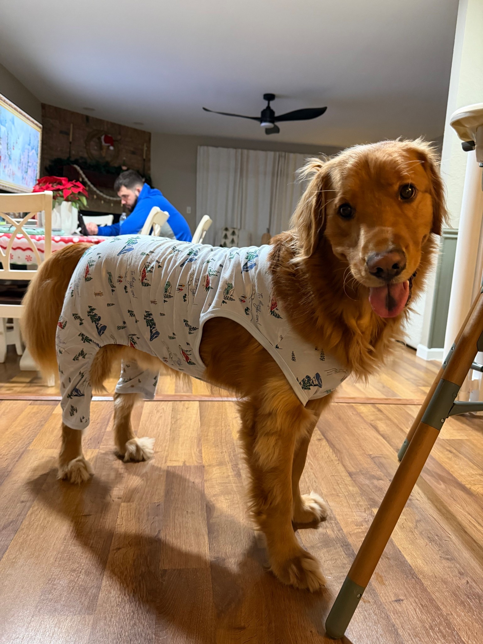 Dogs deserve Christmas pjs too 🫶🏻🥹🎄



#LTKmomlife #LTKSeasonal #LTKHoliday