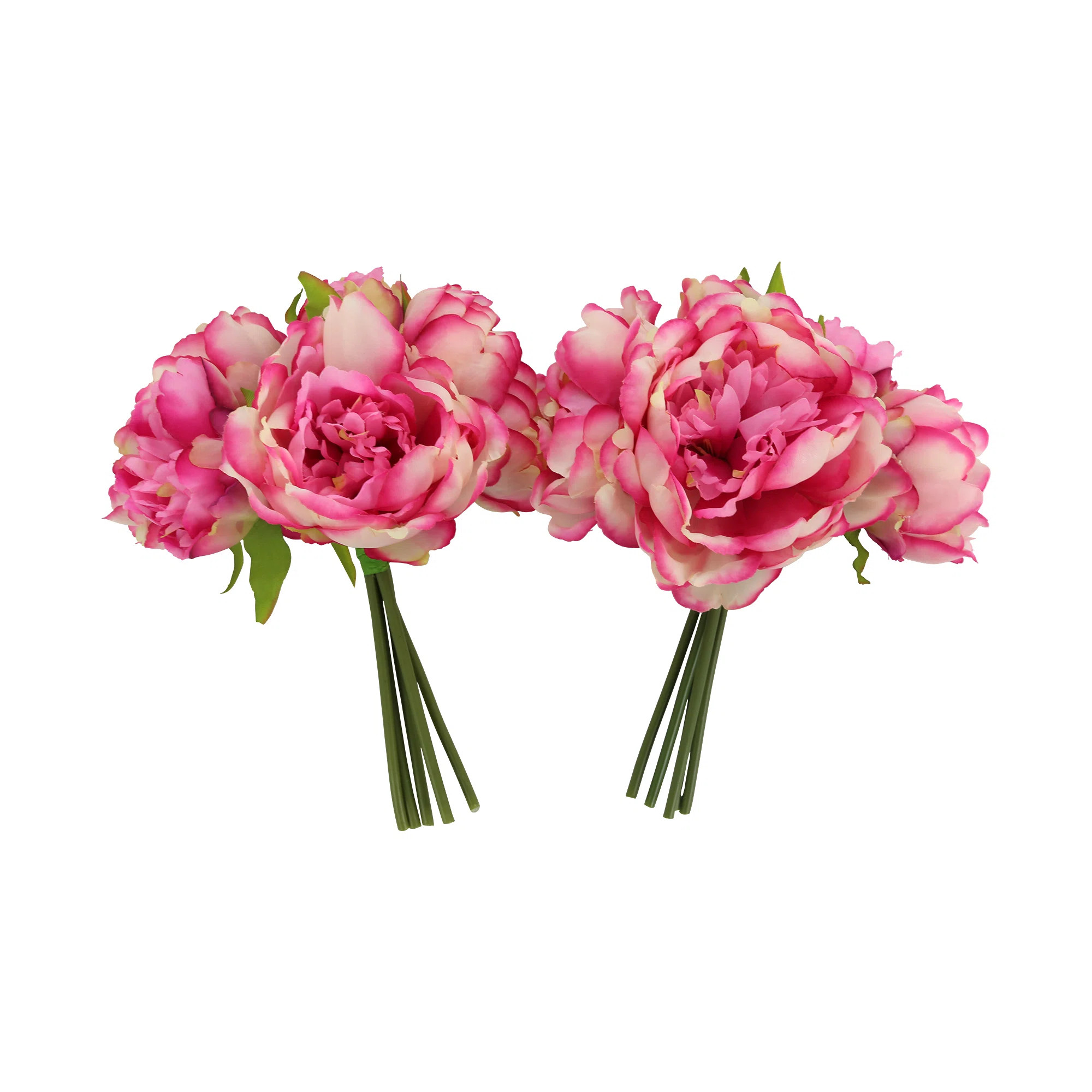 Peony Stems (Set of 2) | Birch Lane