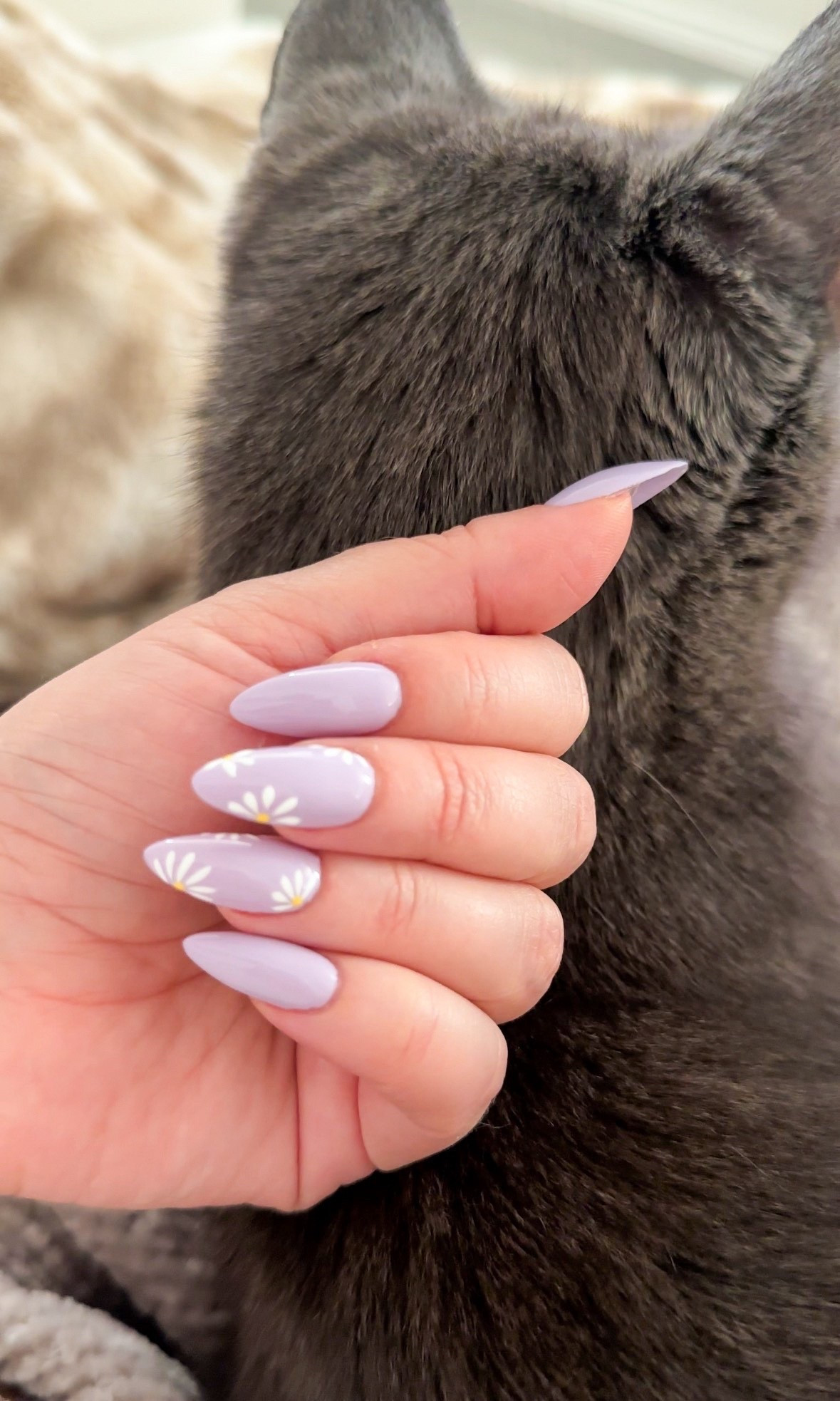 My nail girl did it again 😍💅 loving these lavender daisy nails to kick off spring and summer season purple

Spring gel nail design, Daisy nails, lavender spring nails, 3D nail art, builder gel, sculpt gel art. 

#LTKBeauty #LTKselfcare #LTKdayinmylife