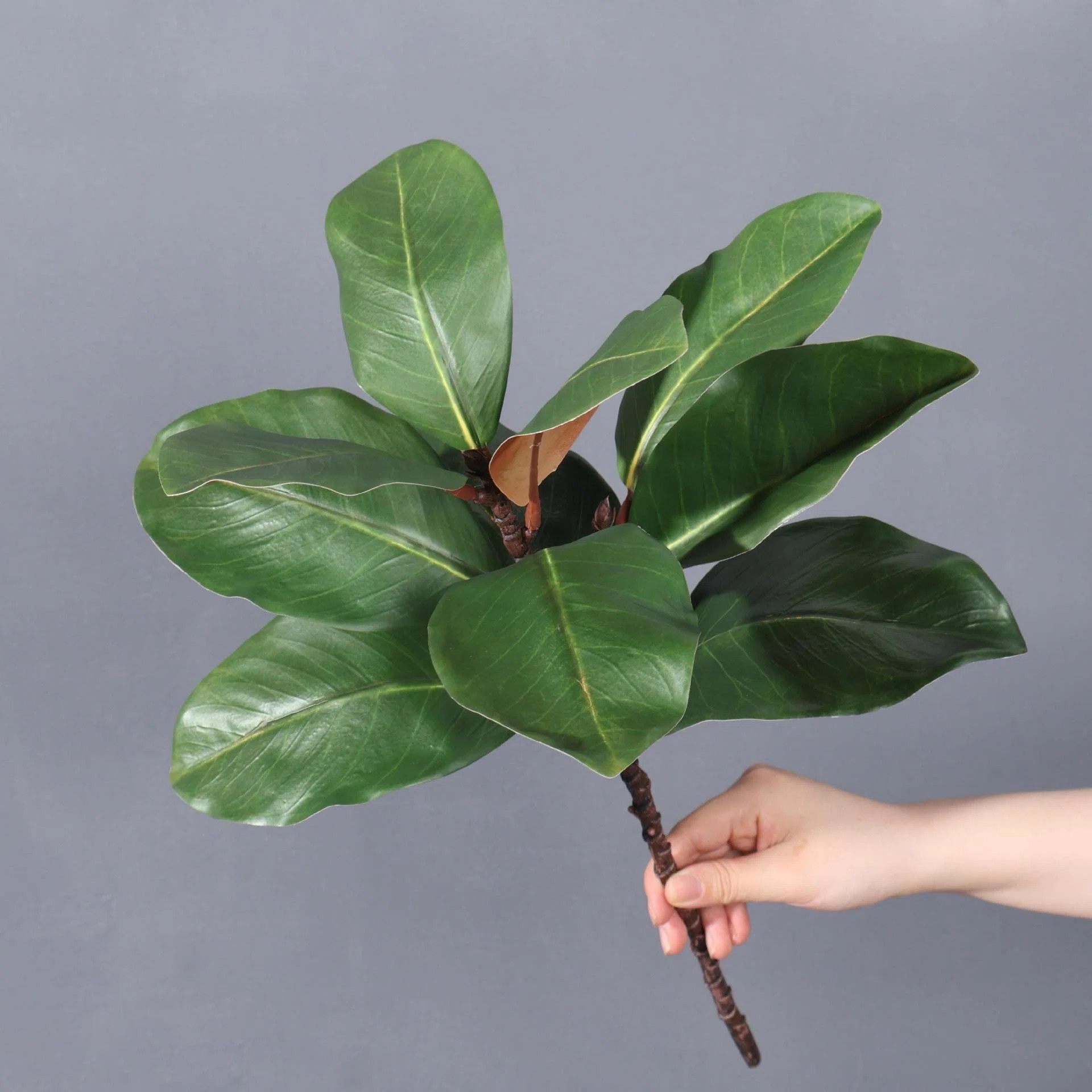Artificial Green Magnolia Leaf Spray For Vase Filler, Faux Magnolia Branch Stem For Table Centerp... | Wayfair North America