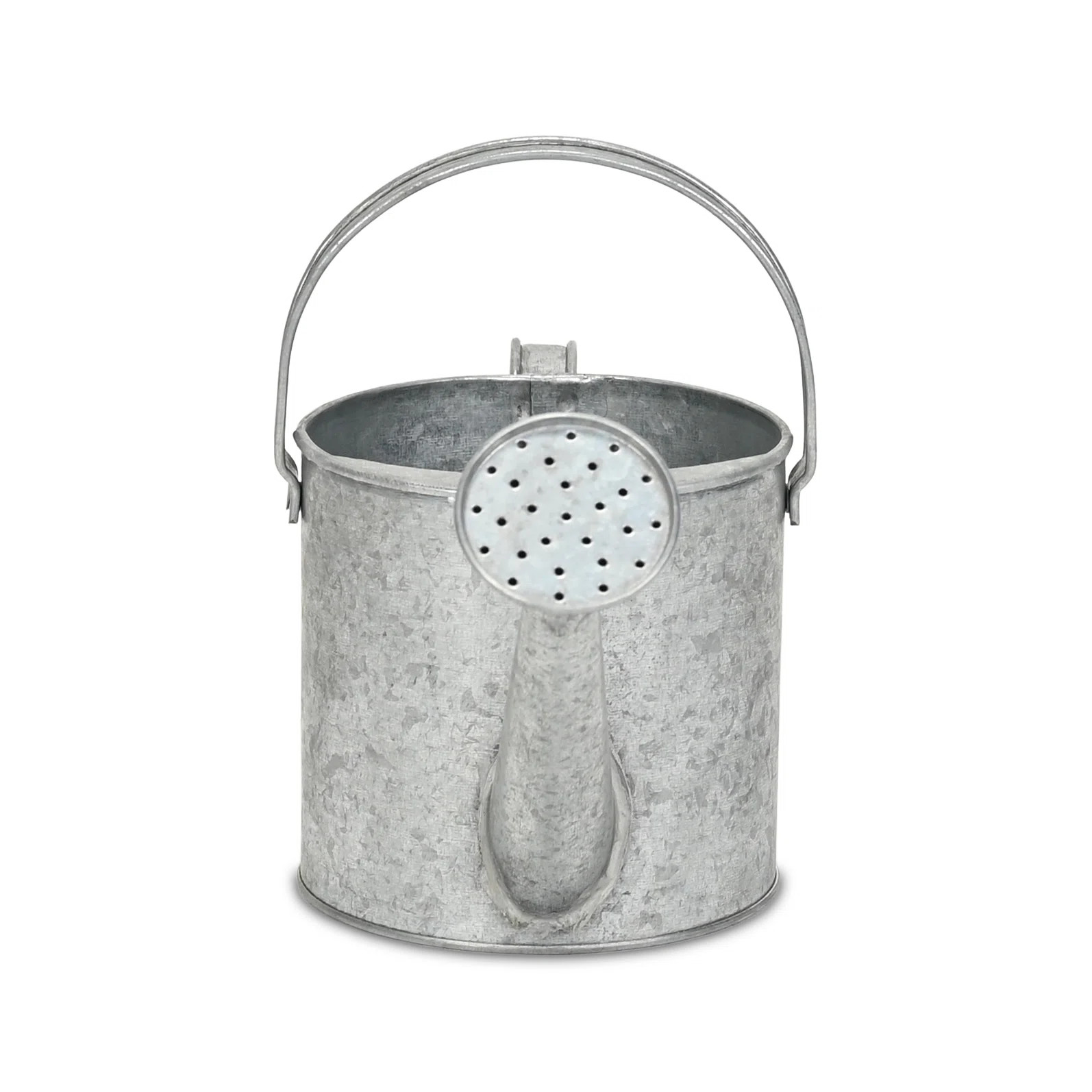 Valta Galvanized Metal Decorative Watering Can | Wayfair North America
