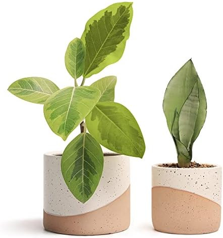 JOFAMY Ceramic Plant Pots with Drainage, Ceramic Planter 5.5/4.5 Inch Ceramic Pots for Indoor Plants | Amazon (US)