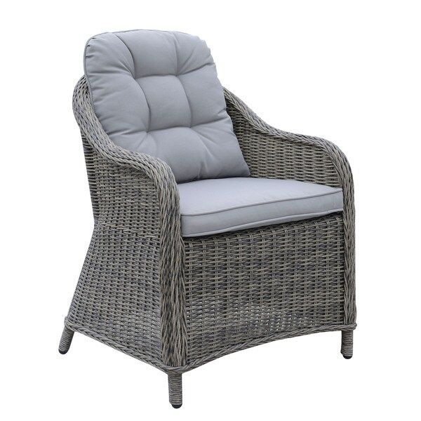 Furniture of America Selien Contemporary Outdoor Grey Wicker Arm Chair (Set of 2) | Bed Bath & Beyond