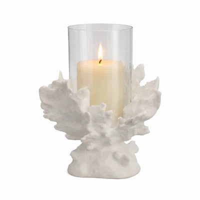 Coral Reef Hurricane Candle Holder | Wayfair North America