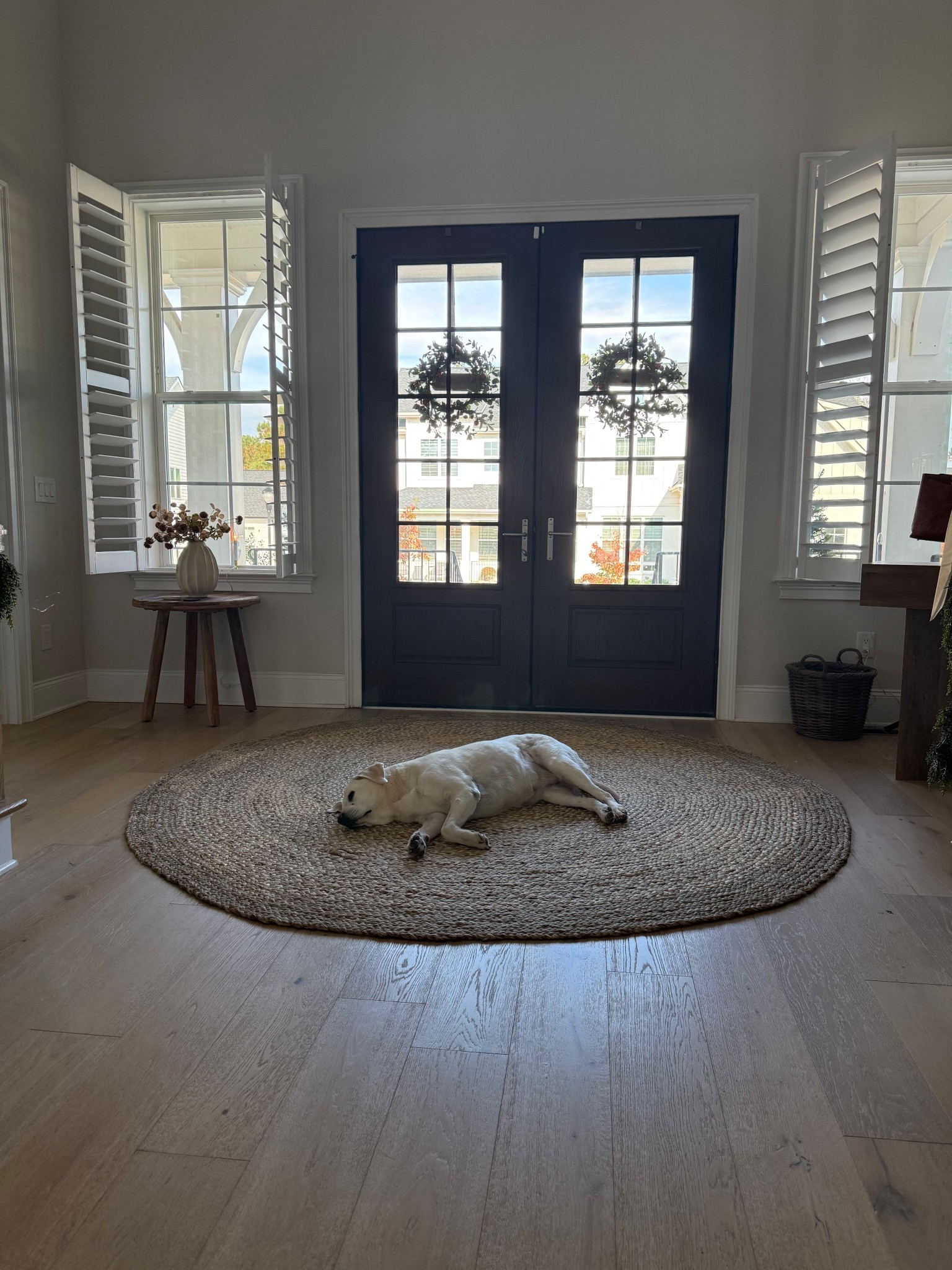 Everyone’s fav rug!!