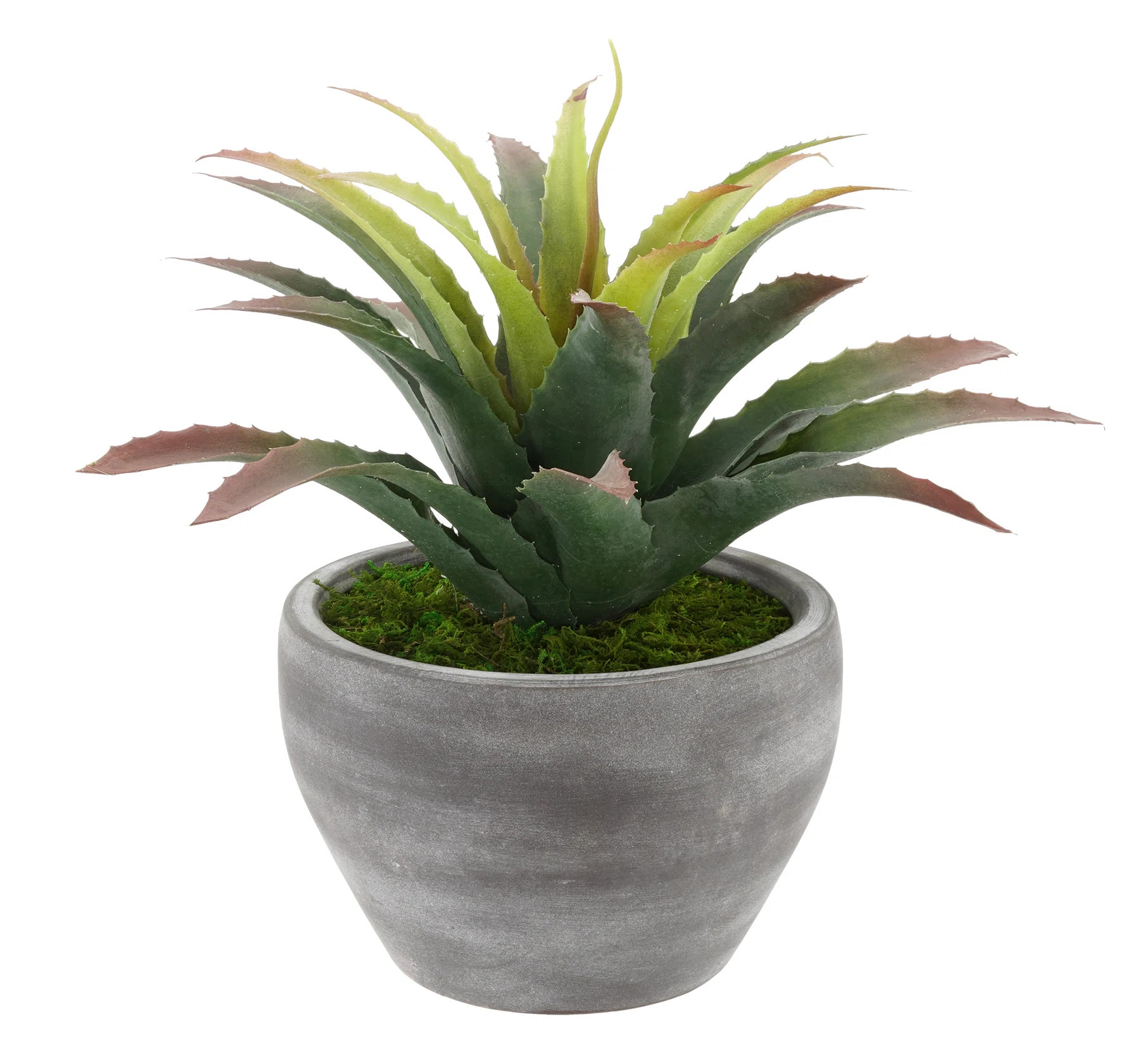 12'' Faux Succulent Plant in Ceramic Vase | Wayfair North America