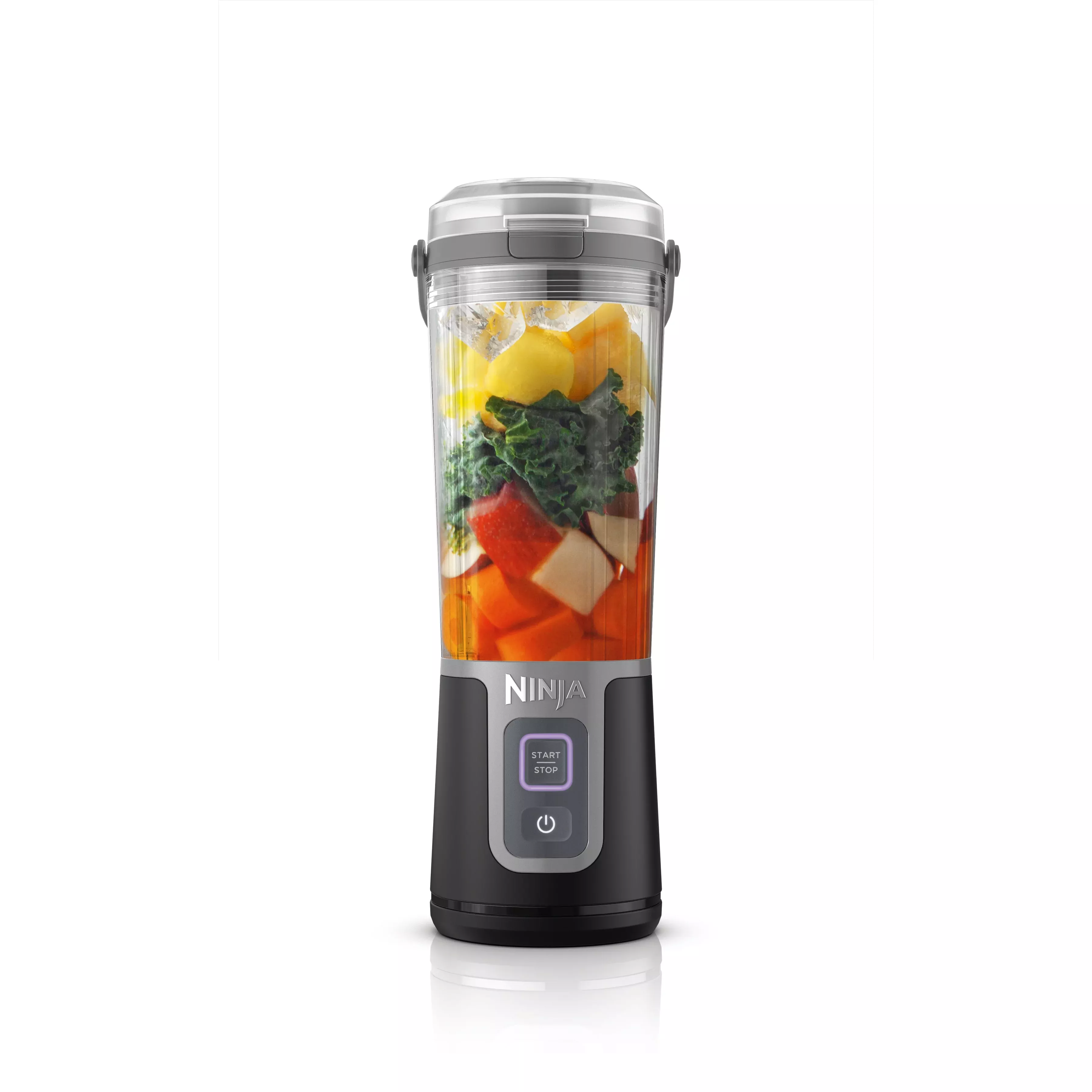 Ninja Blast 16 oz. Personal Portable Blender with Leak Proof Lid