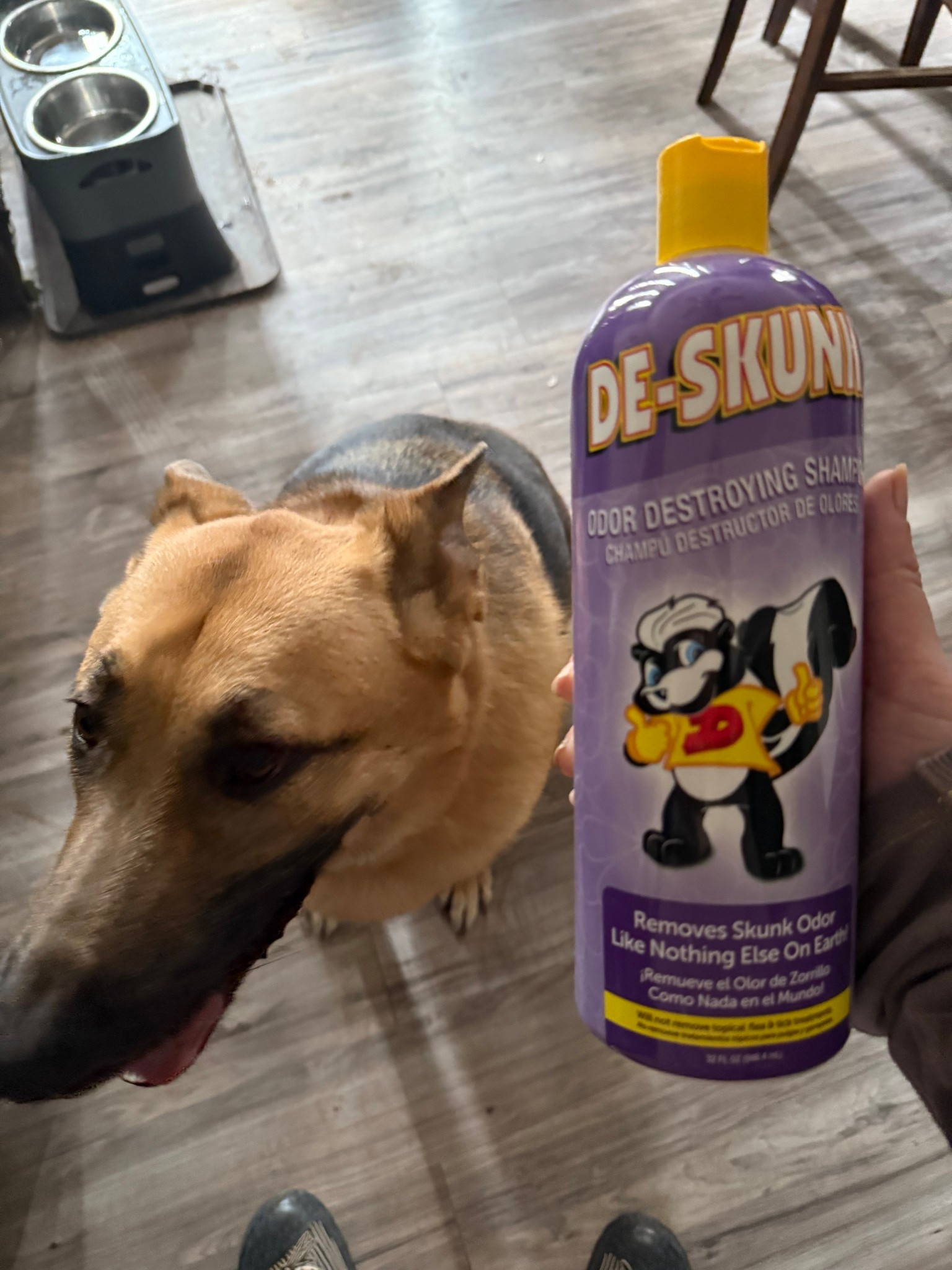 My pup once was sprayed by a skunk which was AWFUL. this managed to take the stink off. #petsupplies #petcare 

#LTKPets #LTKFamily