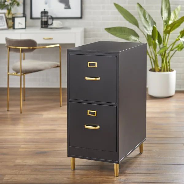 Dahle 2-Drawer Vertical Filing Cabinet | Wayfair Professional