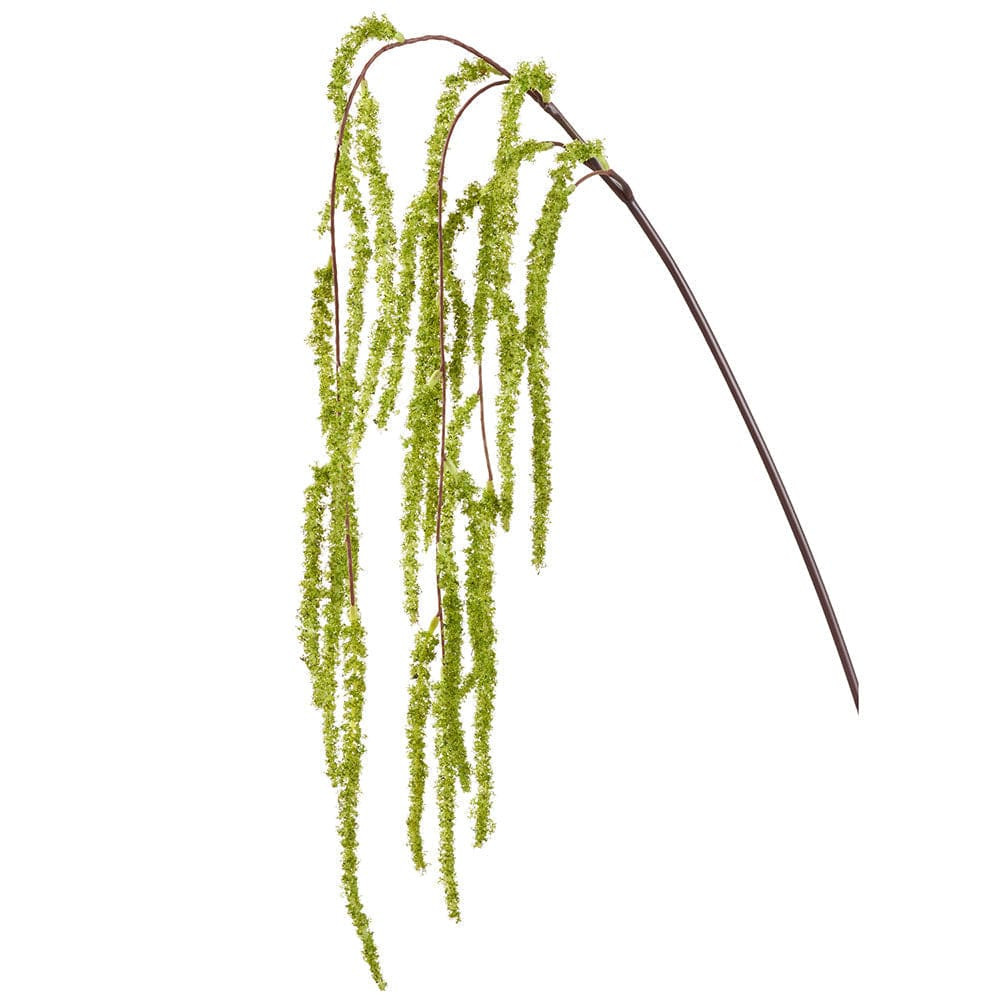 Amaranthus Hanging Spray Green | Megan Molten