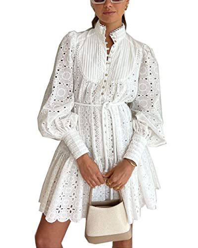 Aofur Summer Cotton V Neck Long Losse Sleeve Casual Party A-Line Dresses Embroidery Short Dress(2X-Large,New White) | Amazon (US)