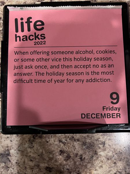 Life Hack Calendar 

#LTKGiftGuide #LTKHoliday #LTKunder50