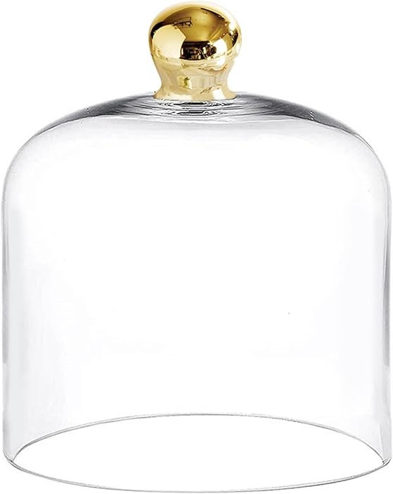 Santa Barbara Design Studio Glass Dome Food Cover Gold Knob Cloche, Medium, Clear | Amazon (US)