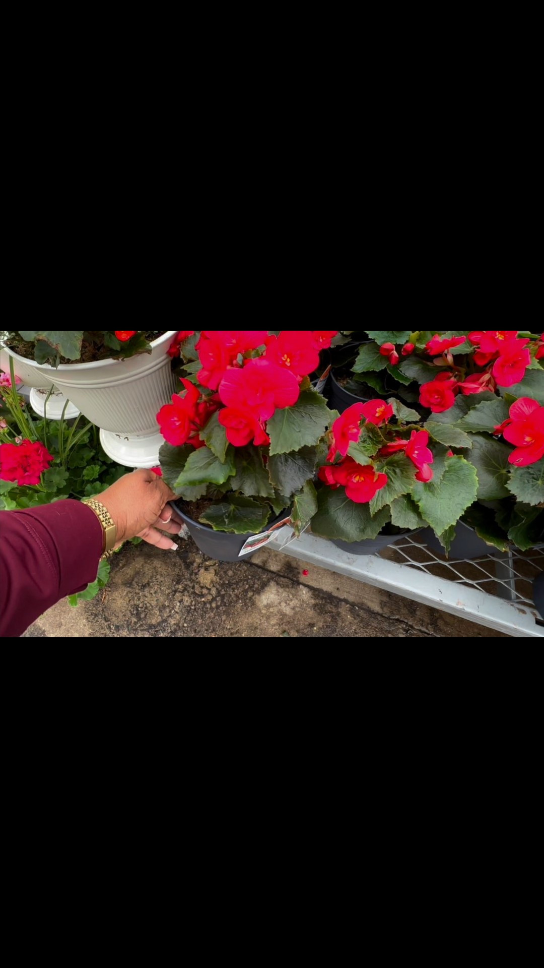 🌺The Home Depot May Inventory🌺

#LTKFindsUnder50 #LTKHome #LTKSeasonal