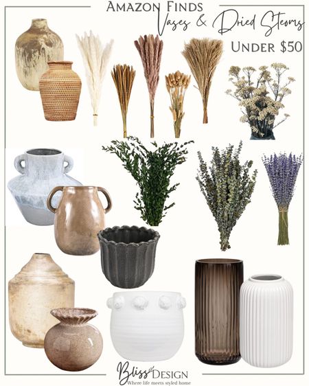 Amazon dried Vases and stems

Vase, stems, pots, lavender, pottery 

#LTKFind #LTKstyletip #LTKhome