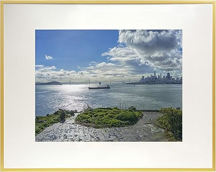 Frametory, 16x20 Metal Picture Frame Collection, Aluminum Gold Photo Frame with Ivory Color Mat f... | Amazon (US)