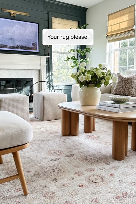 My living room rug linked here! Loving these colors for spring and summer. Pretty neutrals and a pop of color! 

#arearug #springlivingroom 

#LTKHome #LTKStyleTip #LTKSeasonal