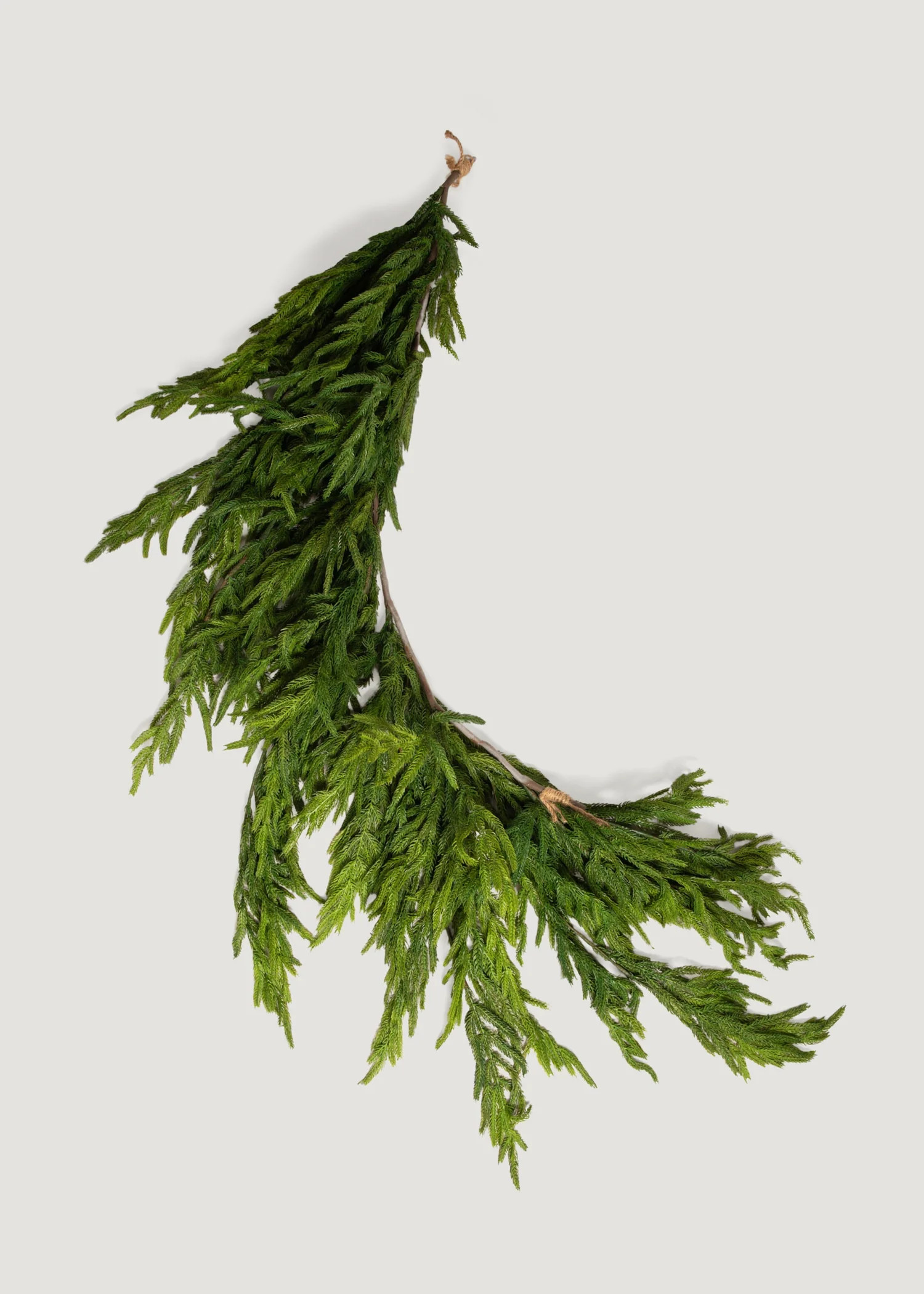 Norfolk Pine Dripping Garland | Real Touch Winter Greens | Afloral | Afloral