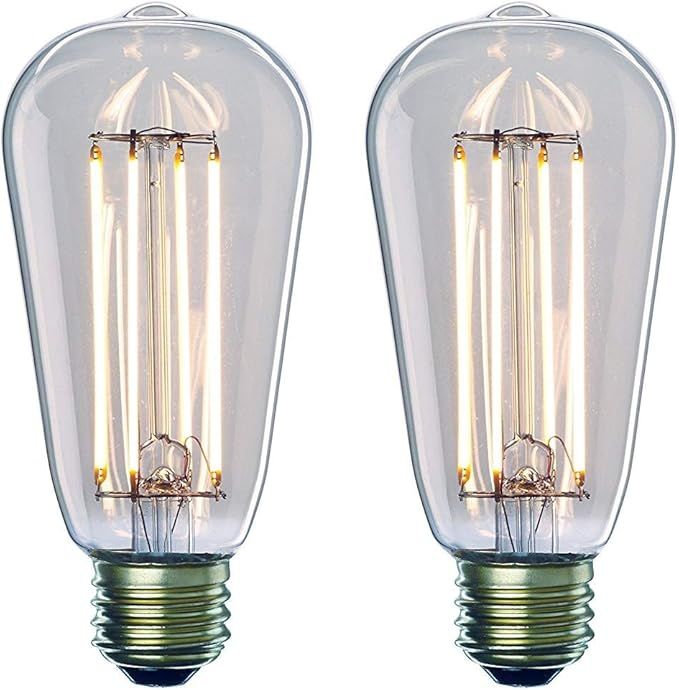 Bulbrite 776667 7W 2700K LED7ST18/27K/FIL/2 LED ST18 Light Bulb with Medium/Standard Base, Warm W... | Amazon (US)